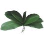 Artificial Phalaenopsis orchid leaves PRIMALA, aerial roots, 8"x11"/21x29cm