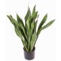 Fake sansevieria BEYZA, green, 31"/80cm