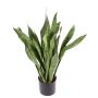 Fake sansevieria BEYZA, green, 31"/80cm