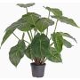 Fake Syngonium PERAMI, green, 18"/45cm