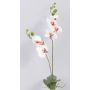 Artificial phalaenopsis NAARA spike, white-fuchsia, 30"/75cm