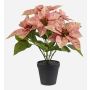 GRULEN artificial poinsettia in a decorative pot, peach, 40cm