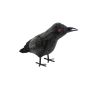 Halloween Raven DIOGO, black-white, 28x11x17cm