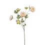 Artificial branch Ranunculus DAVELLA, pink-cream, 80cm