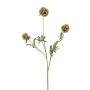 Decorative branch star Scabious RANIK, green, 28"/70cm