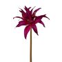 Decorative flower Garden amaryllis ZARINK, violet-gold, 20"/50cm