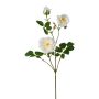 Artificial flower branch Peony KROVEL, cream, 30"/75cm