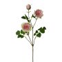 Artificial flower branch Peony KROVEL, green-pink, 30"/75cm