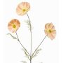 Decorative branch, cosmos BRALTO, peach, 80cm