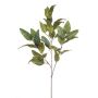 Artificial eucalyptus branch BELUNI, green, 4ft/125cm