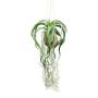 Artificial hanging plant Tillandsia GRISPU in coconut, green, 26"/65cm