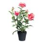 Furhyne artificial rose in decorative pot, pink, 60cm