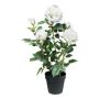 Furhyne artificial rose in decorative pot, white, 60cm