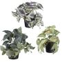 Hanging artificial plant mix: variegated nettle TRIHEN, Fittonia, Caladium, 3 pieces, decorative pot, green-multicoloured, 8"/20cm, Ø9"/23cm