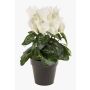 Fake cyclamen HEIDI in a decorative pot, cream, 10"/25cm, Ø2"-3.1"/5-8cm