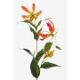 Fake gloriosa FUJITA, orange-yellow, 31"/80cm, Ø6"/15cm