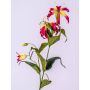 Fake gloriosa FUJITA, pink-yellow, 31"/80cm, Ø6"/15cm