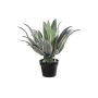 Artificial succulent Agave americana KYANO, decorative pot, green-cream, 22"/55cm