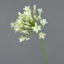 Fake agapanthus PHILINA, cream, 30"/75cm, Ø5.5"/14cm