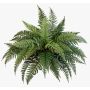 Artificial Royal fern AARON, on spike, green, 20"/50cm, Ø 26"/65cm