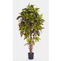 Artificial Croton BEQA, real stems, hardly inflammable, colourful, 5ft/150cm