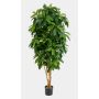 Artificial Schefflera MADDISON, natural stems, flame retardant, green, 6ft/170cm