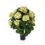 Artificial hydrangea HARUKA in trunk, green, 24"/60cm, Ø3.5"-6.3"/9-16cm