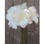 Artificial amaryllis DAGGI, white, 28"/70cm, Ø4.3"-7.1"/11-18cm