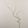 Plastic corkscrew willow branch TONY, green-brown, 30"/75cm