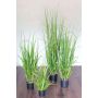 Artificial reed grass ILIAS, green-yellow, 5ft/150cm