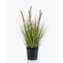 Fake pennisetum YWAIN with panicles, beige-green, 18"/45cm