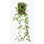 Artificial hanging plant, dwarf pepper SAELFES on a stem, green-white, 33"/85cm