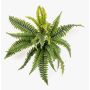 Artificial sword fern ALSAWO on a stake, green, 18"/45cm