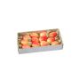 Decorative fruit rose hip ZENNY, 12 pieces, red-orange, 0.8"/2cm