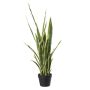 Decorative plant Sansevieria CASTIEL, planter, green-yellow, 3ft/105cm