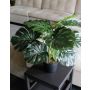 Artificial Philodendron Monstera Deliciosa MUNIN, 22"/55cm