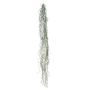 Decorative succulent Tillandsia Usneoides MIRIEL, green, 4ft/130cm