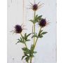 Plastic eryngium MARWIN, purple, 33"/85cm