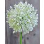Artificial allium HELLA, glitter, cream-green, 18"/45cm
