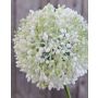 Artificial Allium HELLA, glitter, cream-green, 30"/75cm, Ø4.3"/11cm