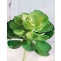 Artificial echeveria elegans ULUWEHI, spike, green, 7"/17cm