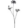 Artificial wild carrot branch ZAHLERY, black, 33"/85cm