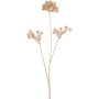 Artificial wild carrot branch ZAHLERY, gold, 33"/85cm