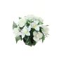 Artificial flower arrangement of rose and cymbidium orchid YAMMA, decorative pot, cream, 10"/26cm, Ø 11"/27cm