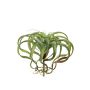 Artificial Tillandsia Xerographica AZARD, spike, green-red, 12"/30cm, Ø 14"/35cm