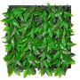 Decorative hedge / mat Photinia CHAVA, green, 20"x20"/50x50cm
