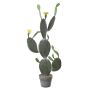 Decorative prickly pear LEODORA with flowers, decorative pot, green-yellow, 3ft/105cm
