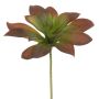 Artificial succulent Echeveria elegans LUNOA, spike, burgundy-green, 9"/22cm