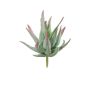 Artificial agave decipiens KIANE, spike, green-grey-red, 3.9"/10cm