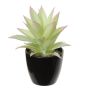 Artificial agave americana KOSEY, planter, light green-red, 6.3"/16cm